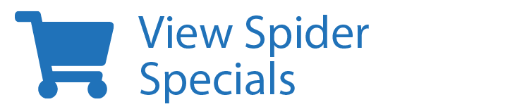 View Spider Specials